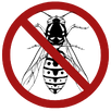 Wasp Control Belmont